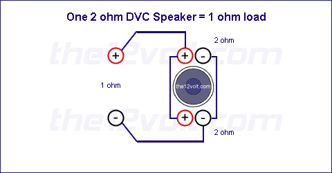 dual 2 ohm to 1 ohm