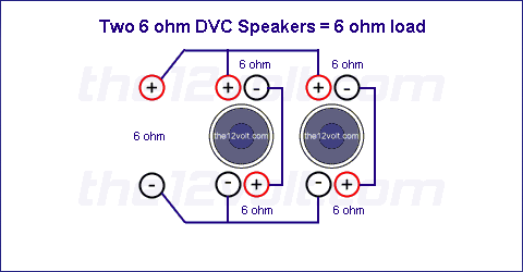 Two 6 Ohm DVC Speakers = 6 ohm load