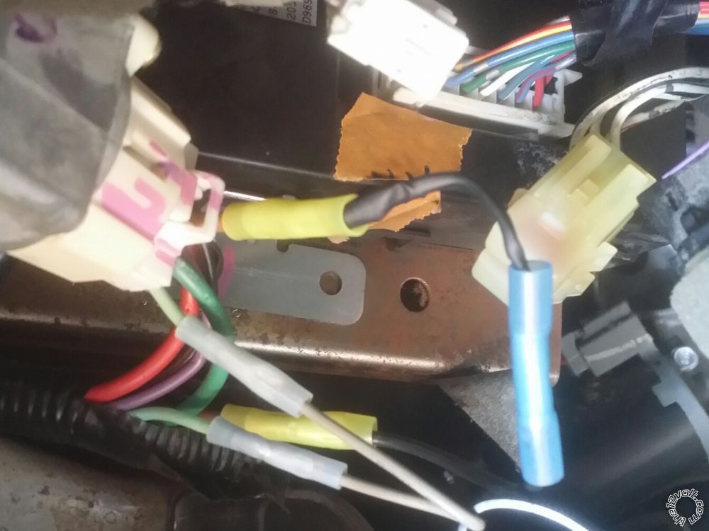 Prolock Chip Wire Diagram, 2005 Nissan Armada -- posted image.