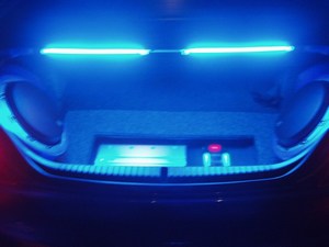 Tips to FG the whole trunk? -- posted image.
