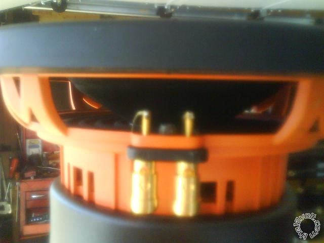 memphis amp fades out - Page 2 -- posted image.