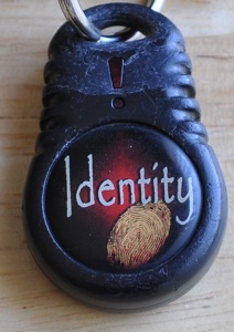 me identify my security system -- posted image.