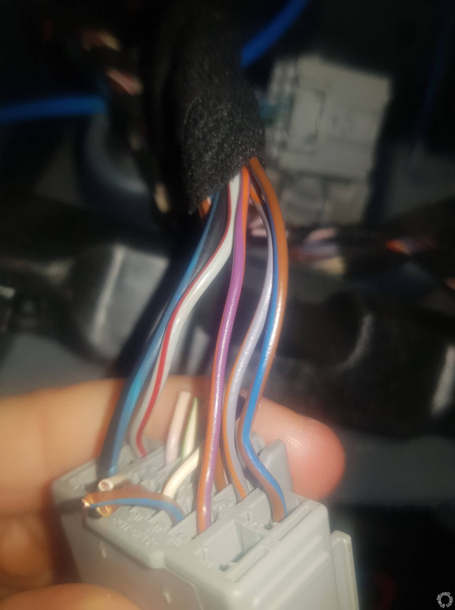 2009 Ford Fiesta WS Stereo Wiring -- posted image.