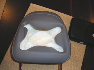 Headrest How-To, 06 Chrysler 300C - Last Post -- posted image.