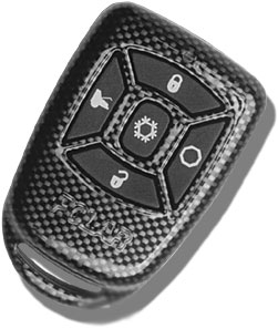 polar 5 button remote car starter -- posted image.