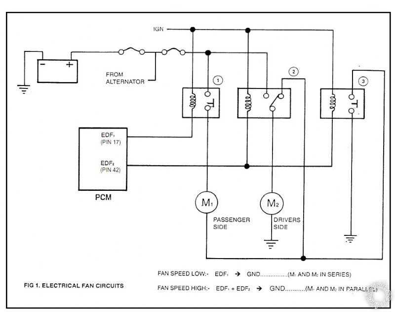 Electric Fan Complex Design, Twin Thermo Fan Wiring Diagram