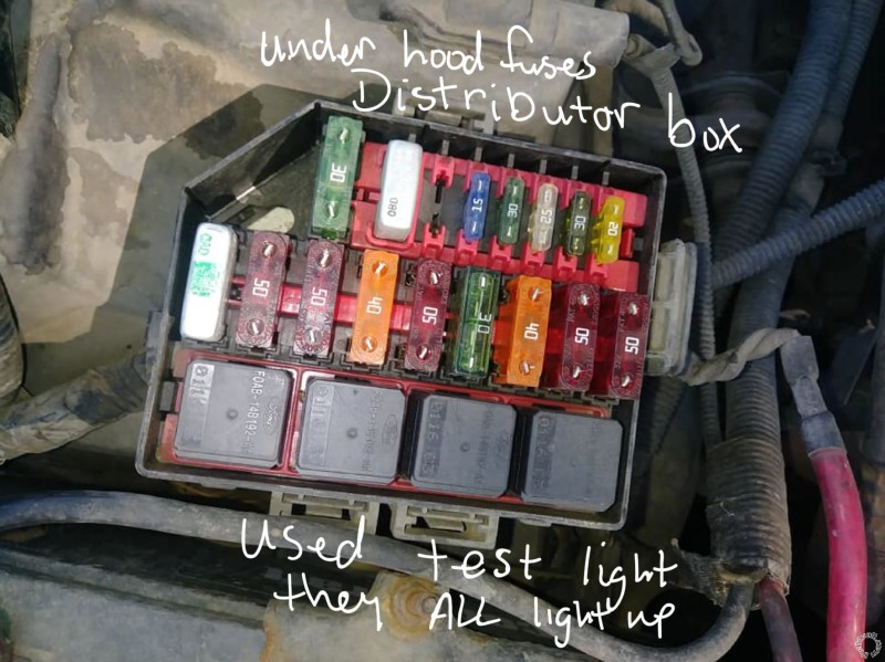 Wiring Aftermarket Radio to 2000 Ford Crown Victoria - Last Post -- posted image.