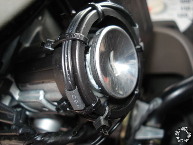 posted_image