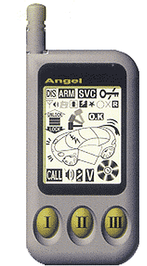 Crime Stopper CS-2005FM Remote -- posted image.