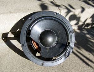 Rats ate my woofer -- posted image.